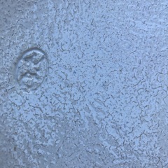 土鍋大(花)の画像