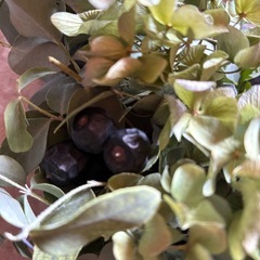 フレッシュなユーカリとベリーのリースの画像