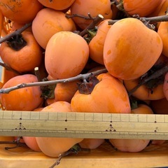 渋柿　エボ柿　一個の値段の画像