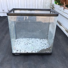 (決定)水槽3つセットの画像