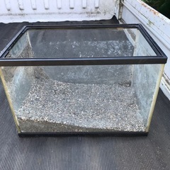 (決定)水槽3つセットの画像