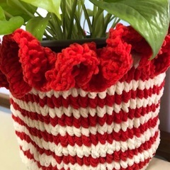 ポトス 中型 赤と白のストライプ鉢の画像