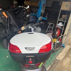 フォルツァ　mf08の画像