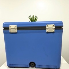 プラッキー PLUKY クーラーボックス アウトドア 釣り用品 24リットル 中古品販売 11Dの画像