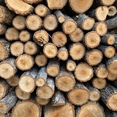 薪　キャンプ　BBQ　80kg 100円〜の画像