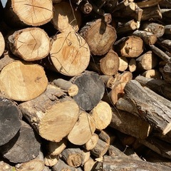 薪　キャンプ　BBQ　80kg 100円〜の画像