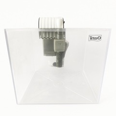 エアポンプ付き小型水槽の画像