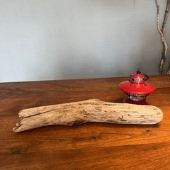 9.モダンなエリート　流木、天然物、インテリア、オブジェの画像