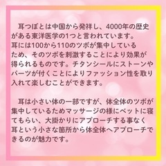 耳ツボジュエリー協会　初級講座　溝口　12/24.29  1/29の画像