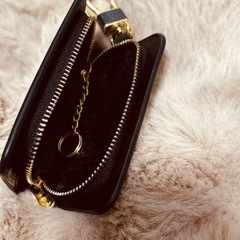 LOUIS VUITTON  キーケース　スマートキーの画像