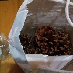 パソコン用スピーカー、大きな松ぼっくり　いかがでしょうか？の画像