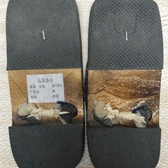 下駄　桐　男の子　の画像