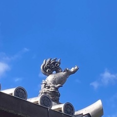 お寺でヨガ、しよう！の画像