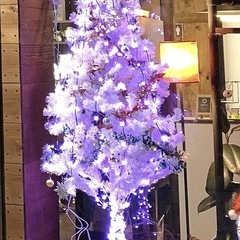 クリスマスツリー装飾用LEDライト（ツリーは付属無し）の画像