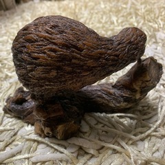 キウイ置物の画像