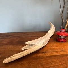 12、気っぷくがイイ〜流木、天然物、インテリア、オブジェの画像