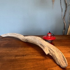 12、気っぷくがイイ〜流木、天然物、インテリア、オブジェの画像