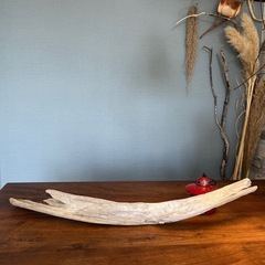 12、気っぷくがイイ〜流木、天然物、インテリア、オブジェの画像