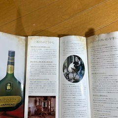 未開封　Napoléon JANNEAU ブランデー　古酒　700ml 40%の画像