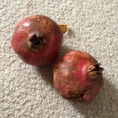 無農薬自然栽培フルーツの画像