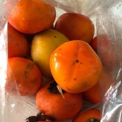 無農薬自然栽培フルーツの画像