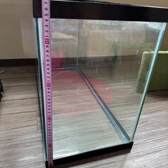 大きめの水槽の画像