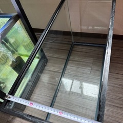 大きめの水槽の画像