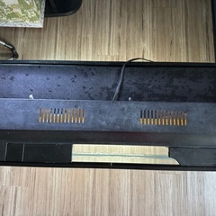 大きめの水槽の画像