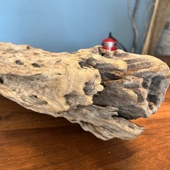 12 凸凹存在感たっぷり〜流木、天然物、インテリア、オブジェの画像