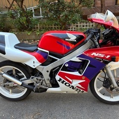 NS1 フルカウル　不動の画像