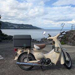 【静岡県伊東市】AA01 リトルカブ FI車　45,464km (実走行距離)の画像
