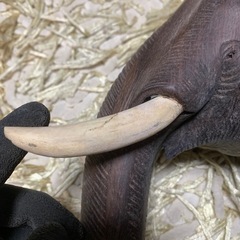 象のインテリア2体の画像