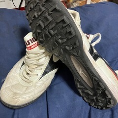 モレリアTFの画像