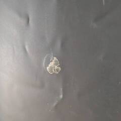 エアーベッド差し上げますの画像