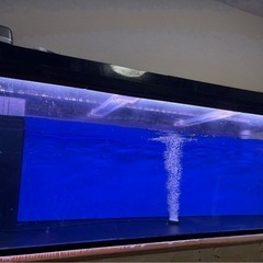 今週限り180cm大型水槽フルセット の画像