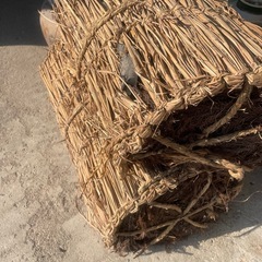 備長炭　炭　バーベキューの画像