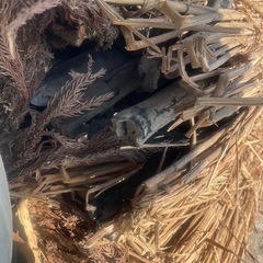 備長炭　炭　バーベキューの画像