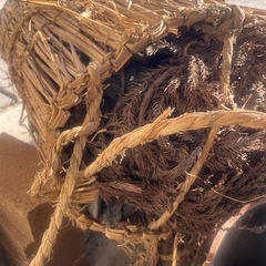 備長炭　炭　バーベキューの画像