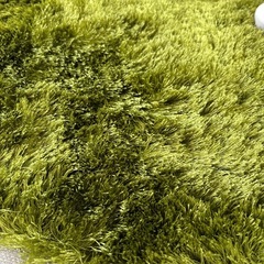 直径52cm  グラスラグマットの画像