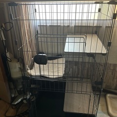 アイリスオオヤマ猫ゲージの画像