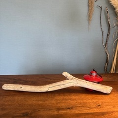 9.安定厚みな流木、天然物、インテリア、オブジェの画像