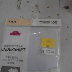 オーガニックコットン ２枚　100cm　A17276の画像