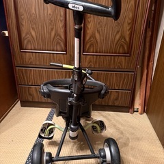 アイダス折り畳み三輪車の画像