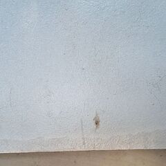 【ジャンク】カラーボックス 白 3段の画像