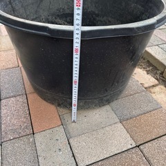大型鉢の画像