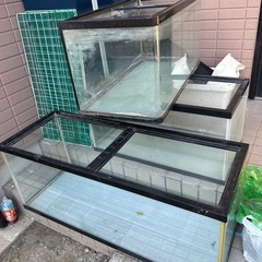 水槽３つの画像