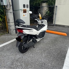 pcx JF56の画像