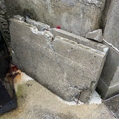 まとめて無料で差し上げますの画像