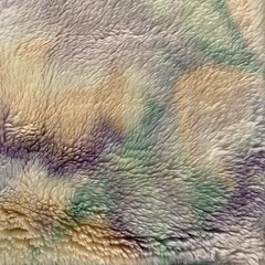 京都西川掛け毛布の画像