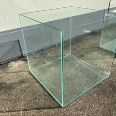 水槽(お話中)の画像